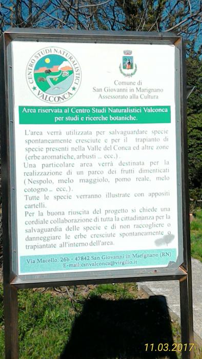 Museo Entomologico San Giovanni 11/03/2017