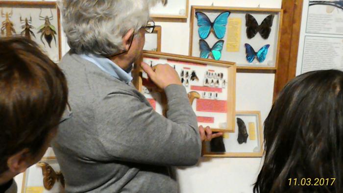 Museo Entomologico San Giovanni 11/03/2017