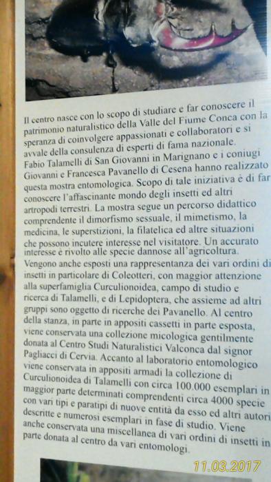 Museo Entomologico San Giovanni 11/03/2017